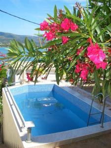 a blue swimming pool with pink flowers on top of a building at Palace View in Trogir