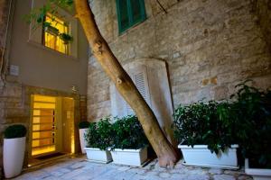 Fotografie z fotogalerie ubytování Fabris Palace v destinaci Trani