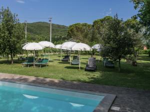a group of umbrellas and chairs next to a pool at Authentic farm holiday with swimming pool pizza oven spacious garden and private terrace in Pietraviva