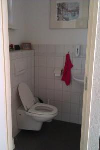 uma casa de banho com um WC branco e um lavatório. em b&b de Vlinder em Hardenberg