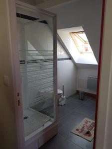 a bathroom with a glass shower with a toilet at location appartement in Wissant