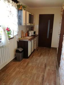 uma pequena cozinha com um lavatório e um micro-ondas em Pokoje Goscinne U Janki em Murzasichle