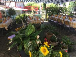 Zahrada ubytování Hotel Restaurant Koi-Gartenteich