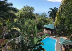 einen Luftblick auf ein Resort mit einem Pool in der Unterkunft Hostel Plinio in Manuel Antonio