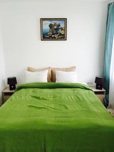 - une chambre dotée d'un lit vert avec une photo sur le mur dans l'établissement Apartment DREAM, à Varna