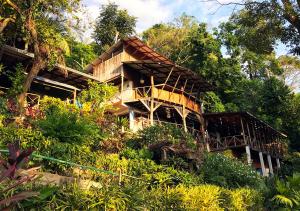 a wooden house in the middle of a forest at Hostel Plinio in Manuel Antonio