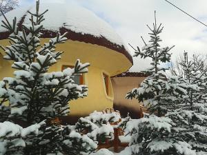 una casa cubierta de nieve frente a los árboles en Art Apartments Minic, en Kolašin