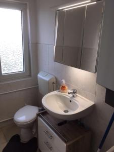 a bathroom with a sink and a toilet and a mirror at 3-Zimmer Ferienwohnung nähe Darmstadt in Roßdorf