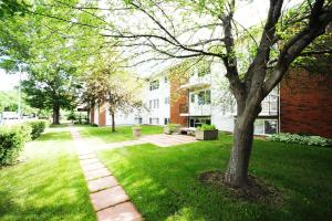 a yard with a tree and a brick building at McKinnon Pointe #102 in Edmonton
