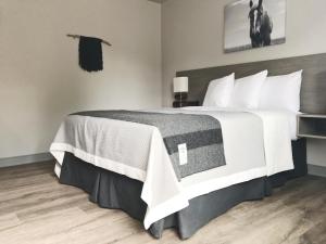 Gallery image of Airport Inn in Hailey