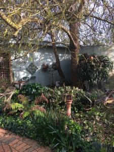 a backyard garden with a tree and a garage at Butlers Guesthouse in Birregurra +14 photos