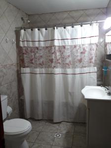 La salle de bains est pourvue d'un rideau de douche, de toilettes et d'un lavabo. dans l'établissement Hospedaje Kaupen, à Ushuaia