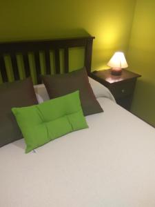 a bed with green and brown pillows and a lamp at Casa Rural Isabel in Villaflores +41 photos