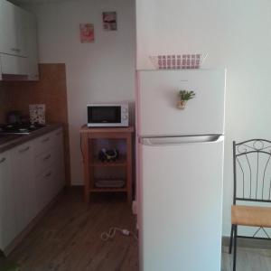 シニスコーラにあるPiccolo accogliente monolocaleのキッチン(電子レンジ付)の白い冷蔵庫