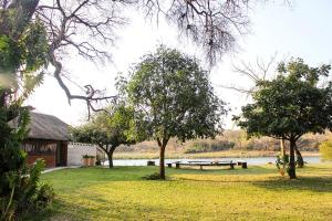 a park with a bench and trees next to a lake at Camp Hogo Kavango in Rundu