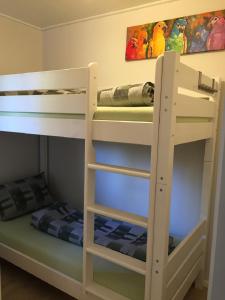 a bunk bed with two bunk beds in a room at FeWo mit Pool Haus Enere Au in Todtmoos