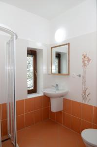 La salle de bains est pourvue d'un lavabo et d'une douche. dans l'établissement Restaurace Obůrka, à Blansko