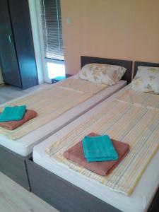 Llit o llits en una habitació de Vila Bachkovo