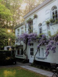 Aed väljaspool majutusasutust B&B 't Wit Huys Brugge
