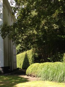 a hedge next to a house with a tree at B&B 't Wit Huys Brugge in Bruges