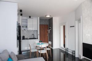 Kuchyňa alebo kuchynka v ubytovaní Apartament Winogrady Hawelańska