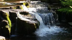 Φυσικό τοπίο κοντά σε αυτό το διαμέρισμα +6 φωτογραφίες