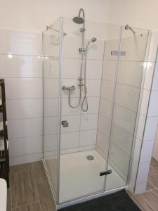a shower with a glass door in a bathroom at Chalet Relax in Birresborn