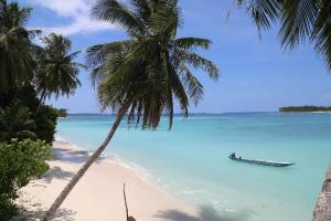 a boat in the water on a beach with palm trees at Nyang Ebay Surf Camp Siberut E"bay 1 minute walking Beng-Beng 5 minute walking,Pitstop 10 minute walking nipussy 1 hour walking short walking only minute distances from our place in Masokut