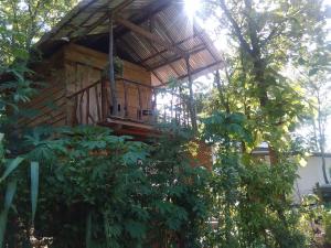 Giardino di Angry Birds Tree house