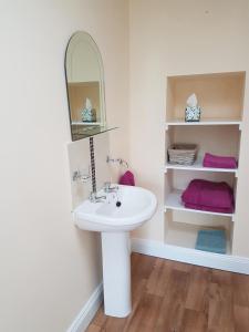 a bathroom with a sink and a mirror and shelves at Glenbower House in Cork
