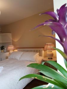 1 dormitorio con 1 cama con 2 lámparas y una planta en Glenbower House, en Cork