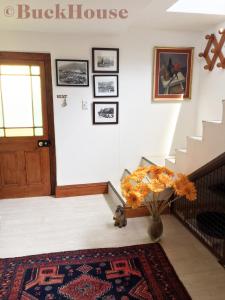 a hallway with a staircase and a door with a rug at Buckhouse Elegant Village Apartment in Heidelberg