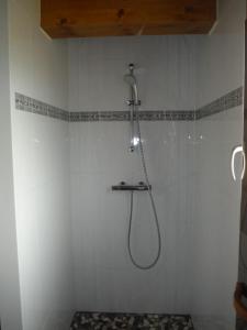 a shower in a bathroom with a shower head at Les airelles in Gérardmer +14 photos