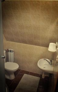een badkamer met een toilet en een wastafel bij Willa Bałamutka in Zakopane