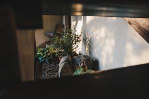 Vonkajšia záhrada v ubytovaní Motel Hotelik