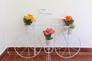 Fotografie z fotogalerie ubytování Suites Apartments v destinaci Cascais + 6 fotografií