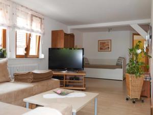 a living room with a large flat screen tv at Gaestehaus Stelter in Ettenheim