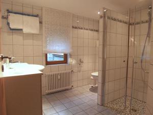 a bathroom with a shower and a sink and a toilet at Gaestehaus Stelter in Ettenheim