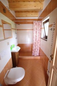 a bathroom with a toilet and a sink at U Haryho in Dolní Bečva
