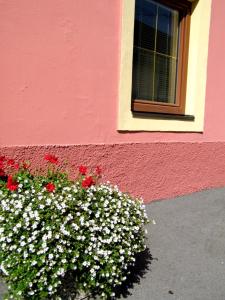 Fotografie z fotogalerie ubytování Ferienwohnung Vorstadt v destinaci Gmünd in Kärnten