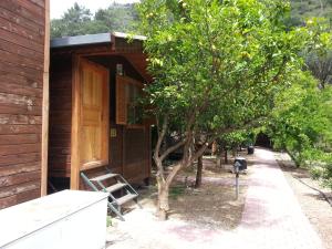 una casa de madera con una puerta de madera y un árbol en Olympos Varuna Bungalows, en Olympos