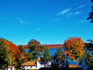 a view of a house and trees in the fall at Silver Springs Cottage Resort in Harcourt