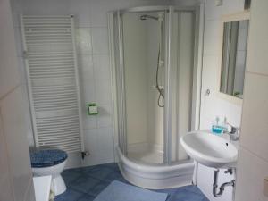 a bathroom with a shower and a toilet and a sink at hausamsolschacht in Bad Kösen +17 photos