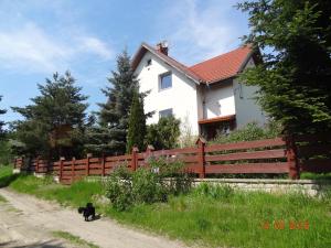 a black cat walking in front of a house at Dom na wzgórzu in Polanica-Zdrój