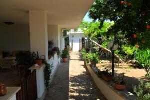 Zahrada ubytování Bed&Breakfast L'Oasi