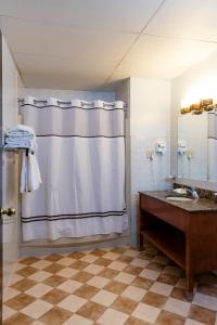 a bathroom with a shower, sink, and toilet at Broadway Plaza Hotel in New York