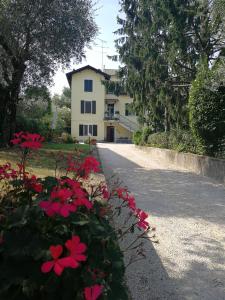 デセンツァーノ・デル・ガルダにあるAppartamento Villa Margheritaの道路脇の赤い花の家