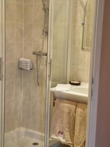 シヤン・ラ・カスカードにあるAuberge du Grand Chêneのバスルーム(シャワー、シンク付)