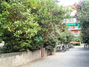 Un grupo de árboles en una pared al lado de un edificio. en 4effe Home, en Sestri Levante