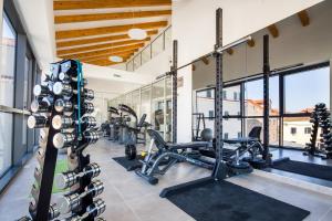 Fitness centrum a/nebo fitness zařízení v ubytování Hotel Borovnik